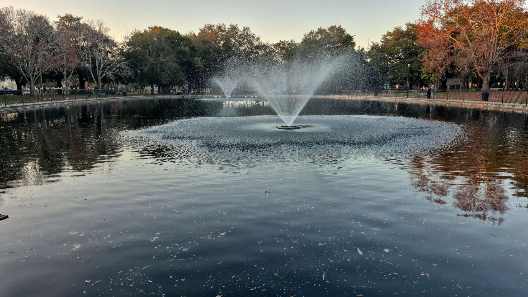 Jacksonville Florida Downtown Scavenger Hunt scavenger hunt photos