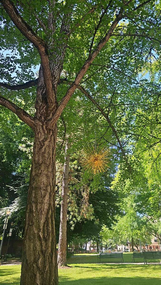 Reed College Scavenger Hunt scavenger hunt photos