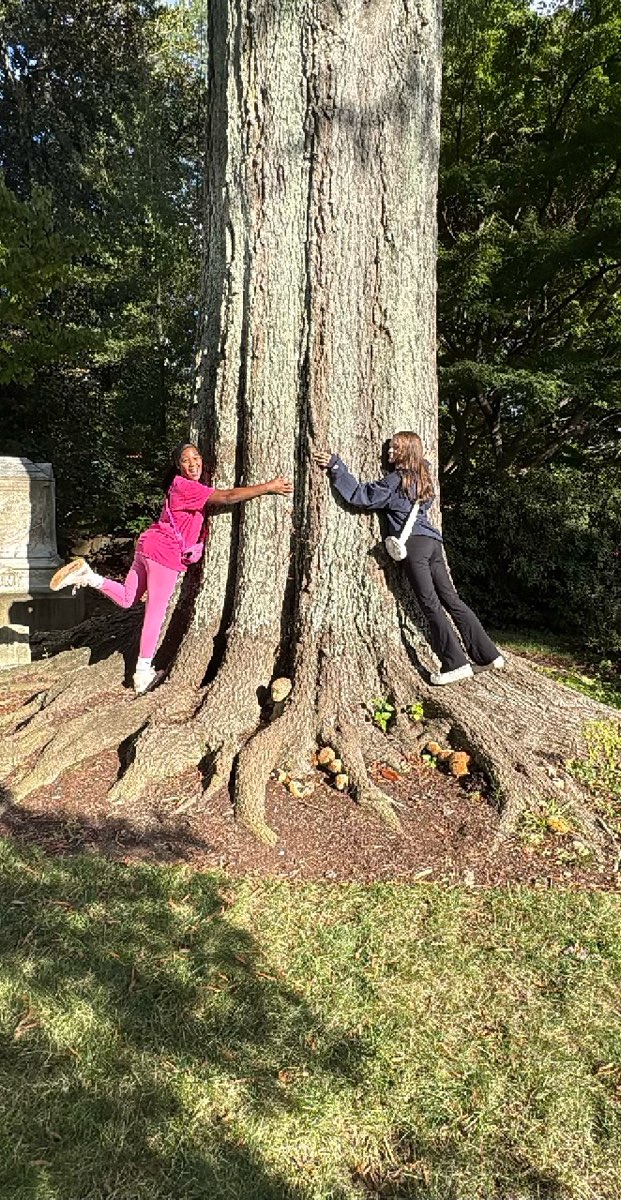 Concord North Carolina Scavenger Hunt scavenger hunt photos