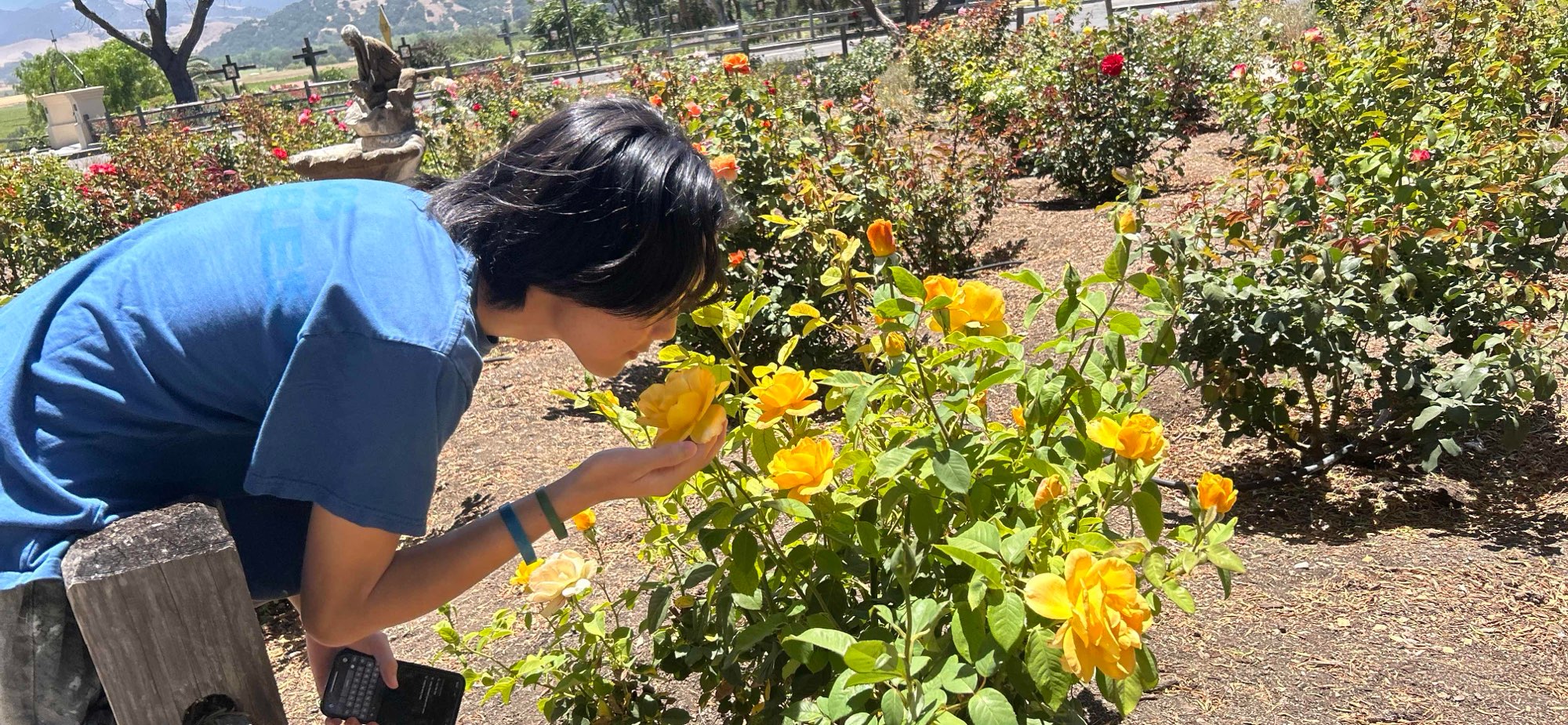 Solvang Ghost Tour scavenger hunt photos