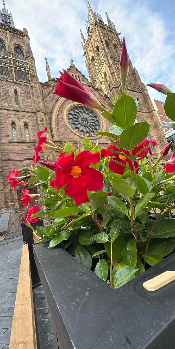 Montreal Downtown Scavenger Hunt scavenger hunt photos