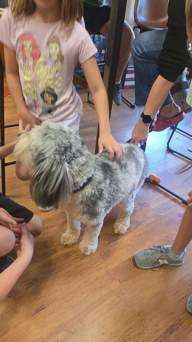 Newnan Scavenger Hunt scavenger hunt photos