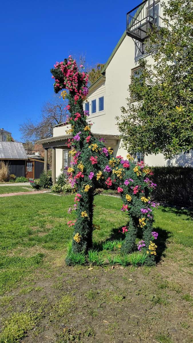 Photos de la chasse au trésor de Mount Holly