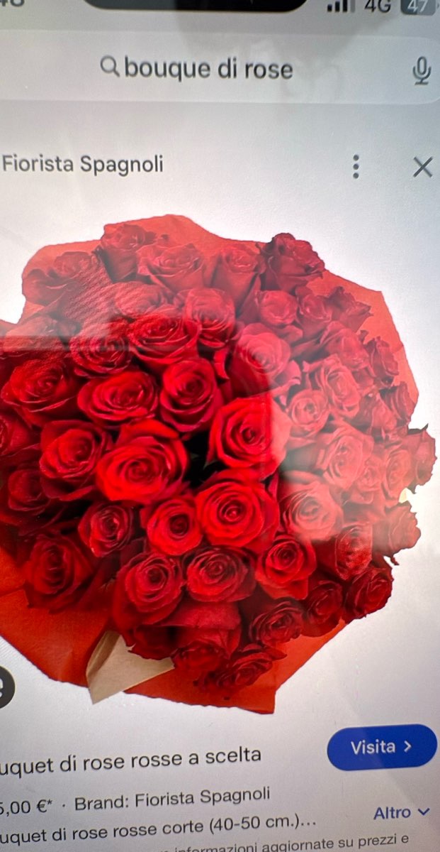 Parma Scavenger Hunt scavenger hunt photos