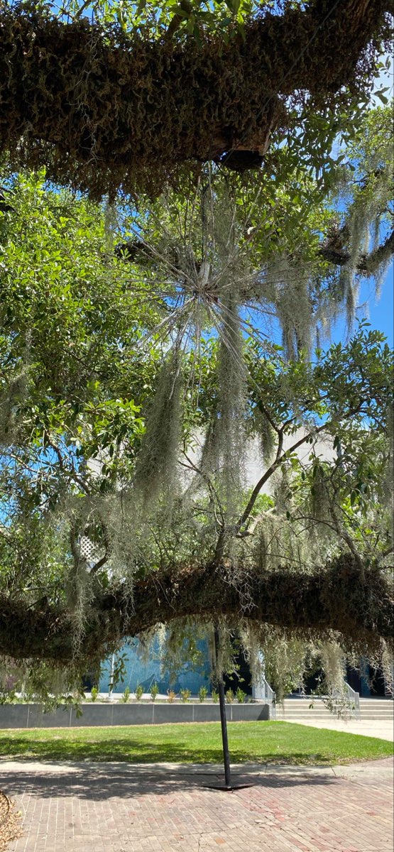 Covington Louisiana Scavenger Hunt scavenger hunt photos