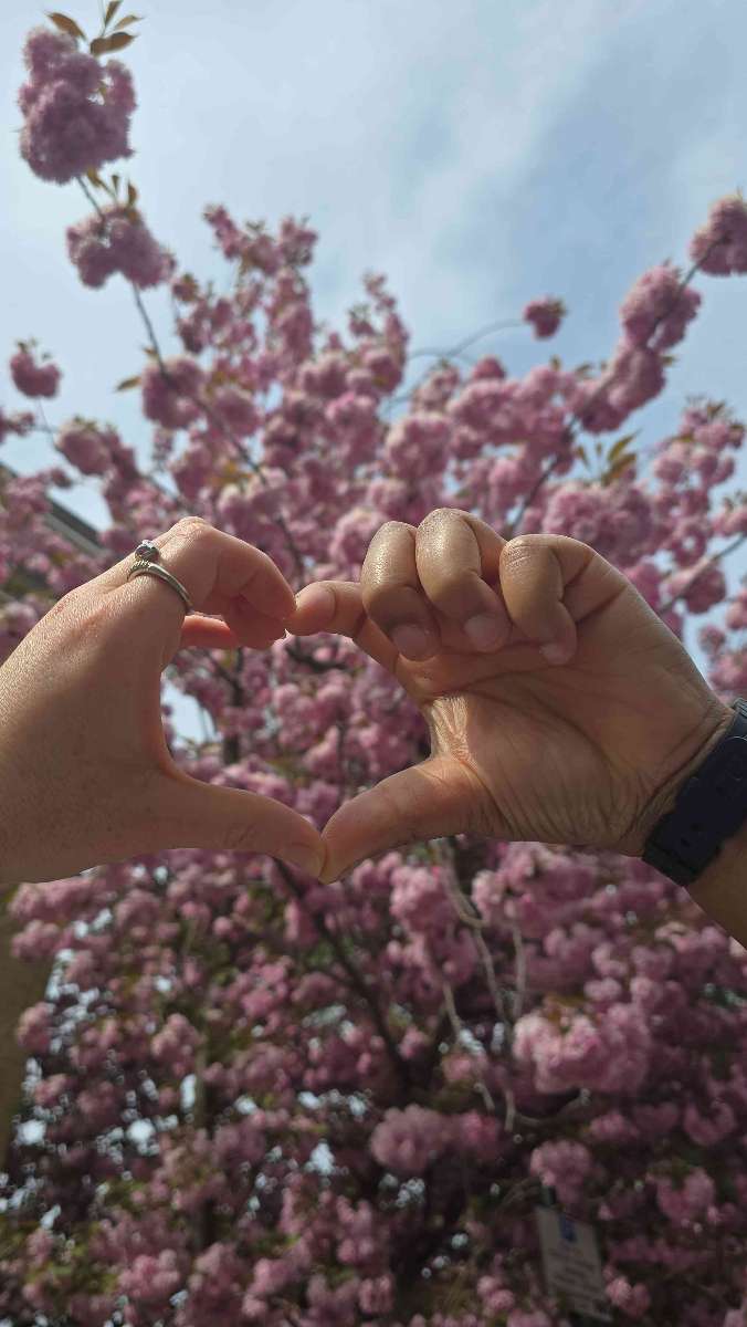 ภาพถ่ายการล่าสมบัติ Canonbury Scavenger Hunt