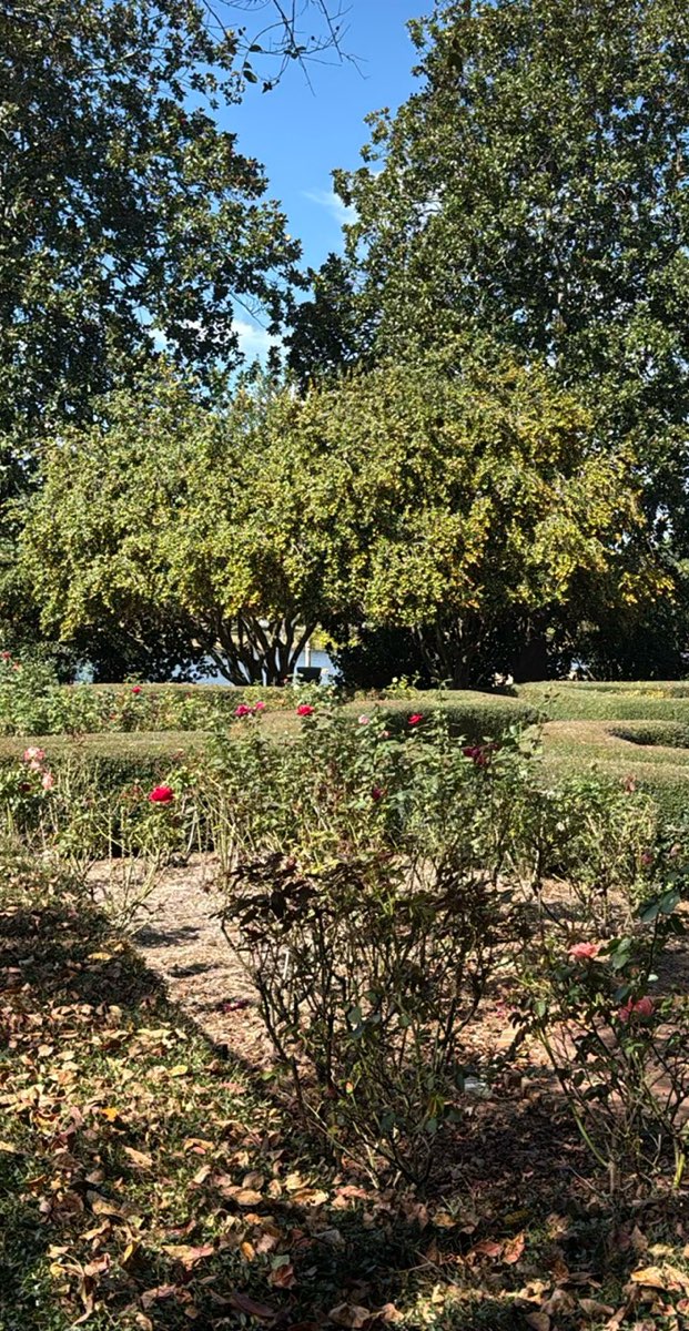 그린빌 사우스캐롤라이나 바 크롤 스캐빈저 헌트 사진