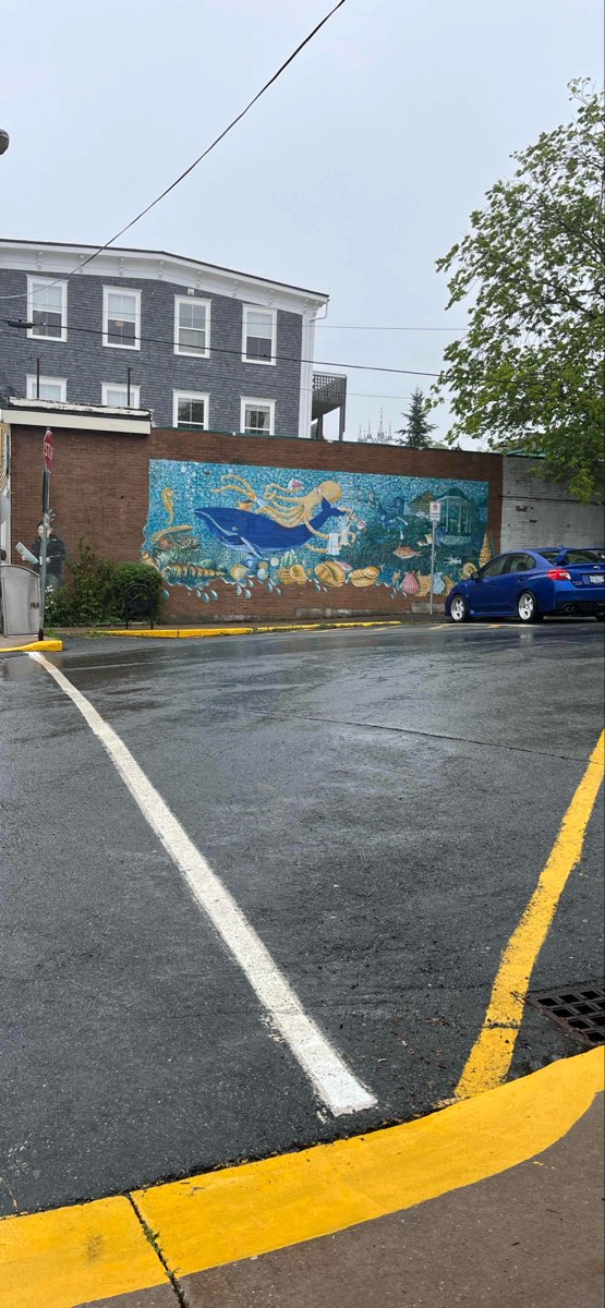 Lunenburg Scavenger Hunt scavenger hunt photos