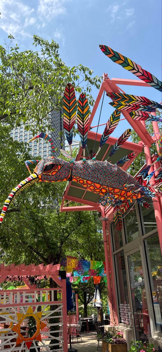 Gold Coast Scavenger Hunt scavenger hunt photos