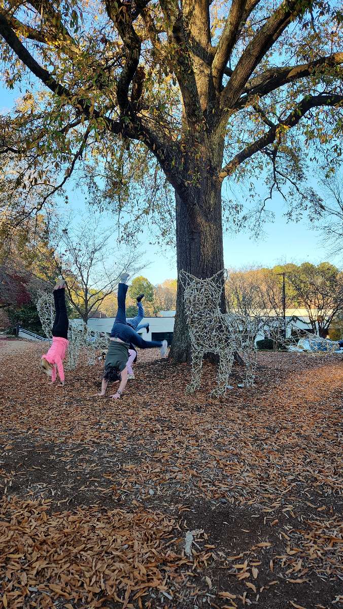 Cary Scavenger Hunt scavenger hunt photos