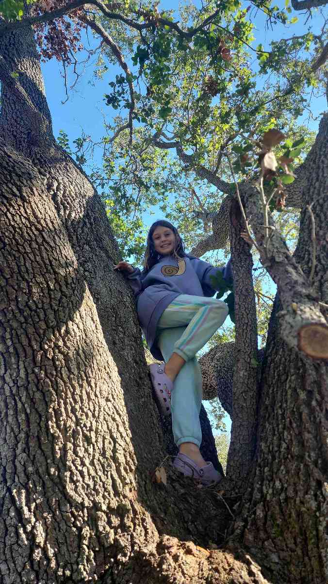 Photos de la chasse au trésor de Largo