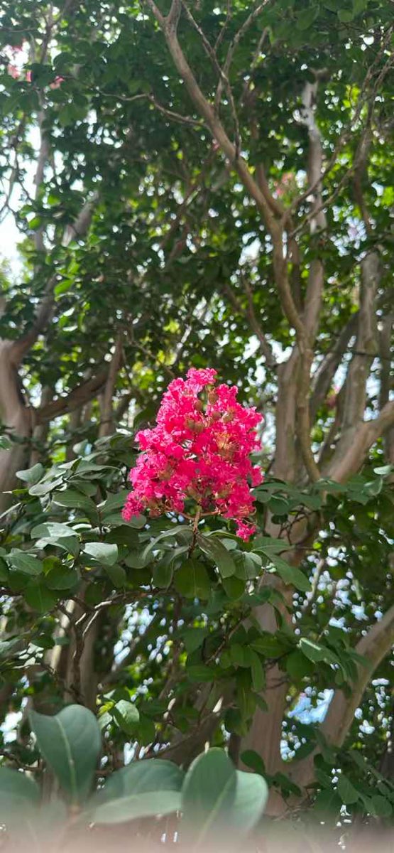 Hattiesburg Scavenger Hunt scavenger hunt photos