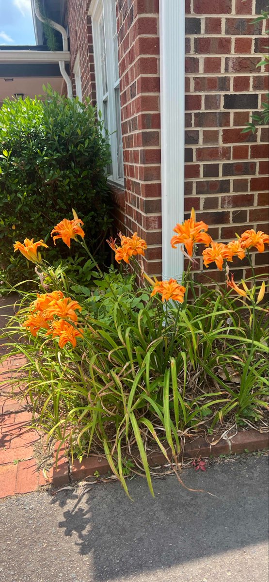 Hillsborough Scavenger Hunt scavenger hunt photos