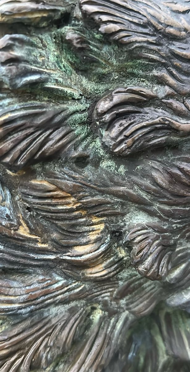 University of Arkansas Scavenger Hunt foton