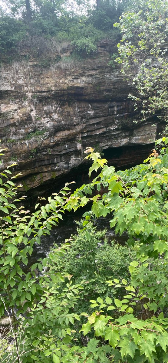 Cuyahoga Falls Scavenger Hunt scavenger hunt photos