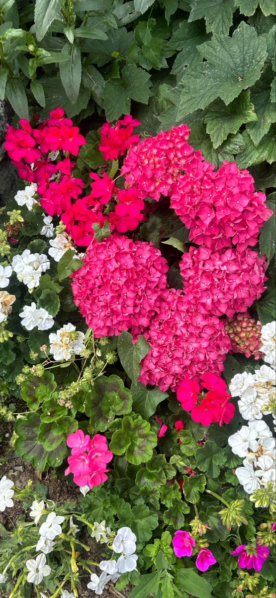 Tintagel Scavenger Hunt scavenger hunt photos