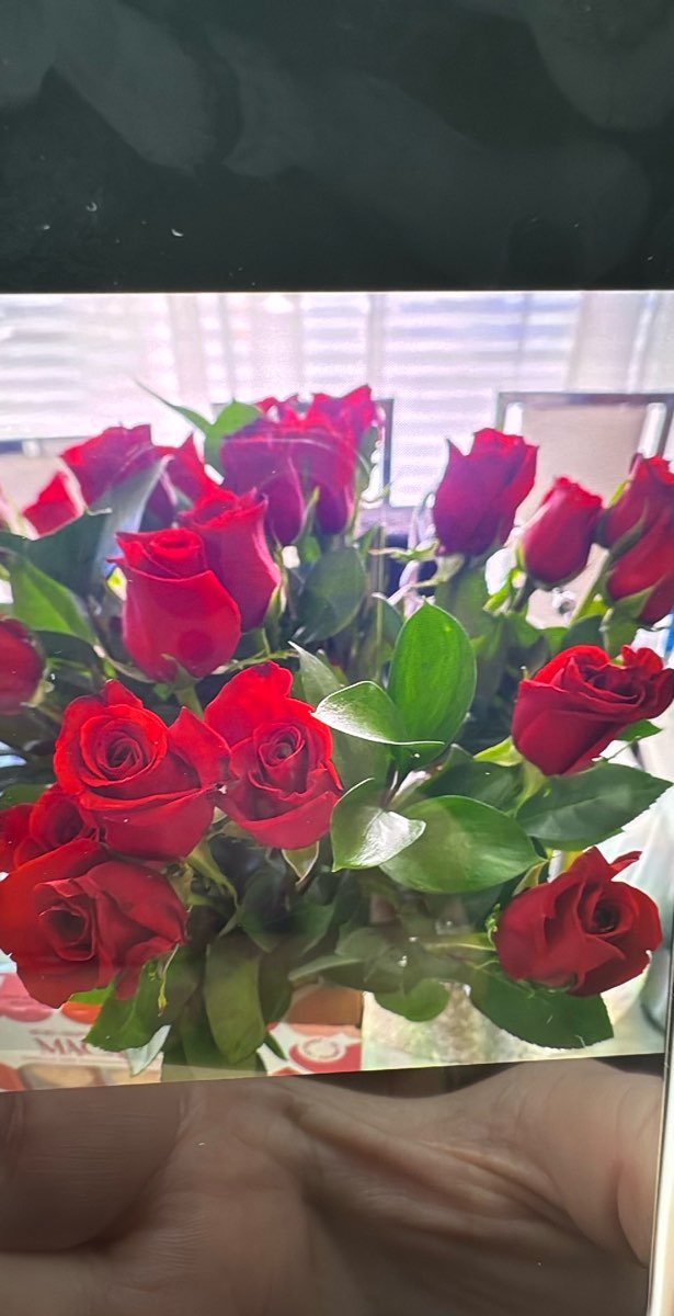 รูปภาพการล่าสมบัติ Oliver Scavenger Hunt