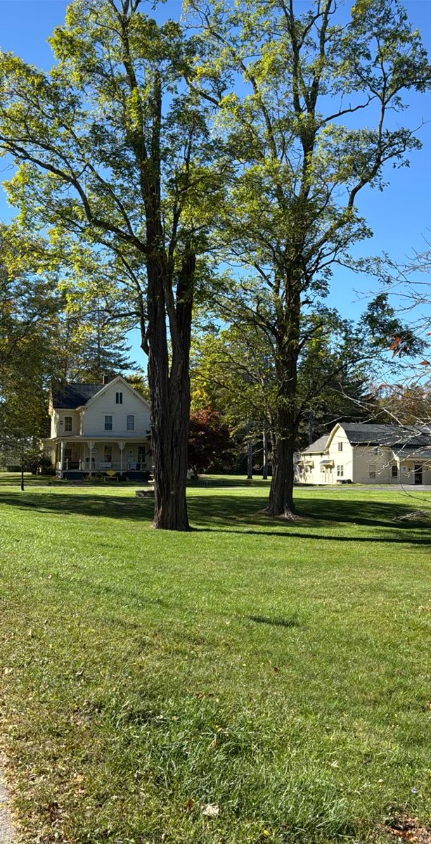 Fotografie z Woodstocku&comma; New York &ndash; Scavenger Hunt