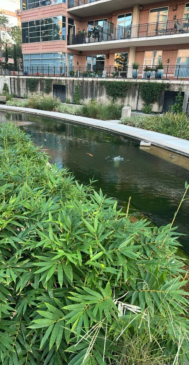 Fotos von der The Woodlands Downtown Schnitzeljagd