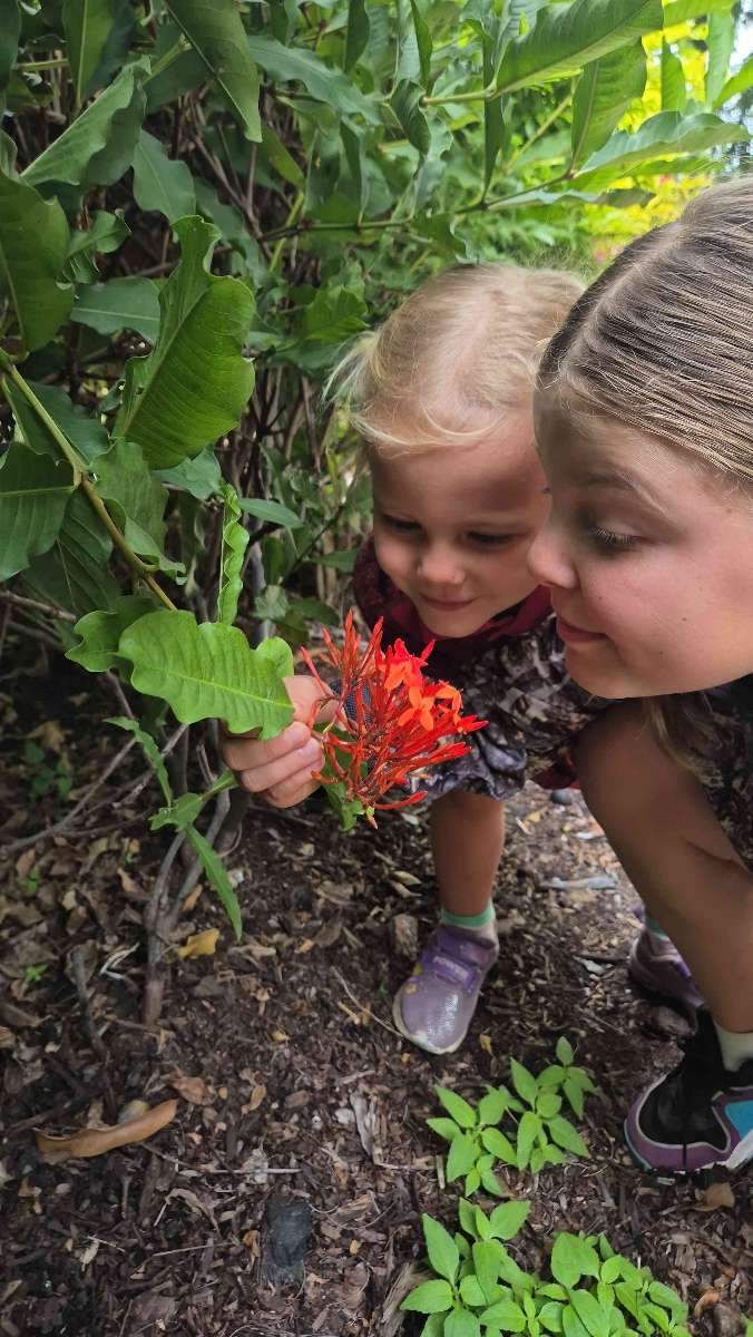 Townsville Scavenger Hunt scavenger hunt photos