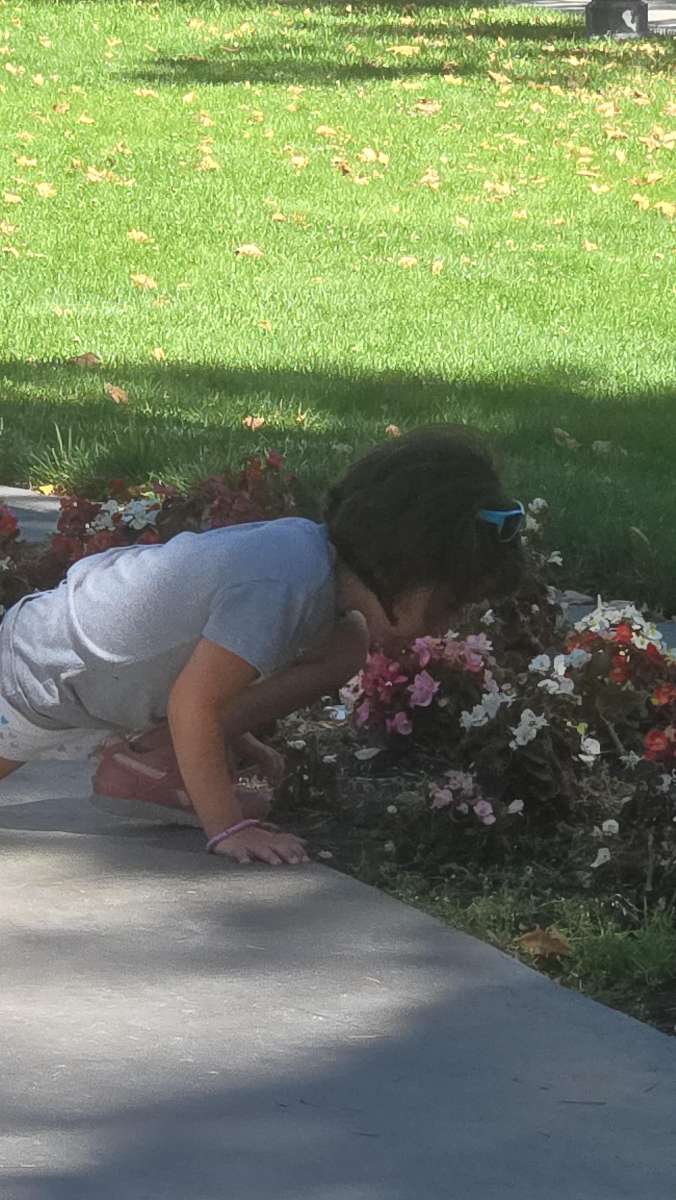 Concord California Scavenger Hunt scavenger hunt photos