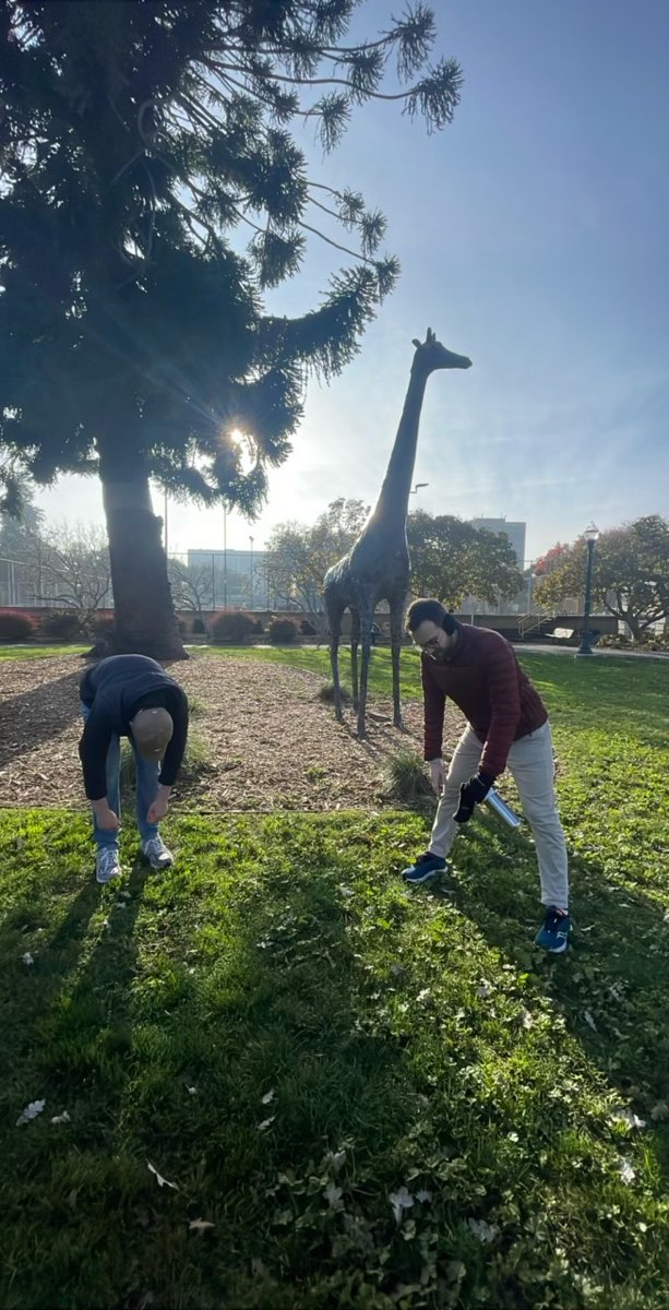 샌 마테오 스캐빈저 헌트 스캐빈저 헌트 사진