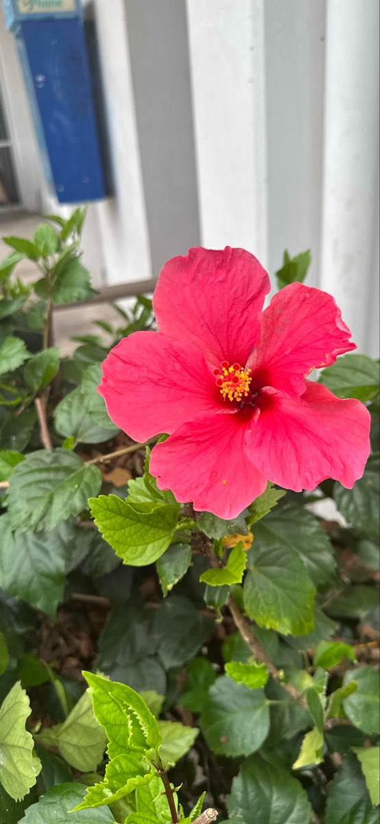 Fotos de la Búsqueda del Tesoro de Kona