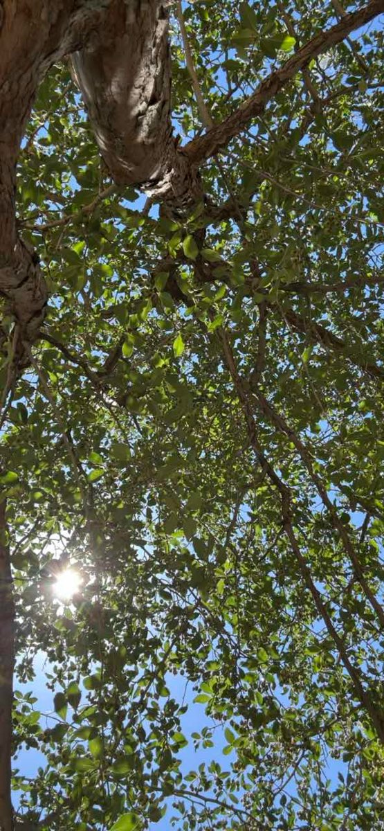 Salt Lake City Downtown Schnitzeljagd Fotos