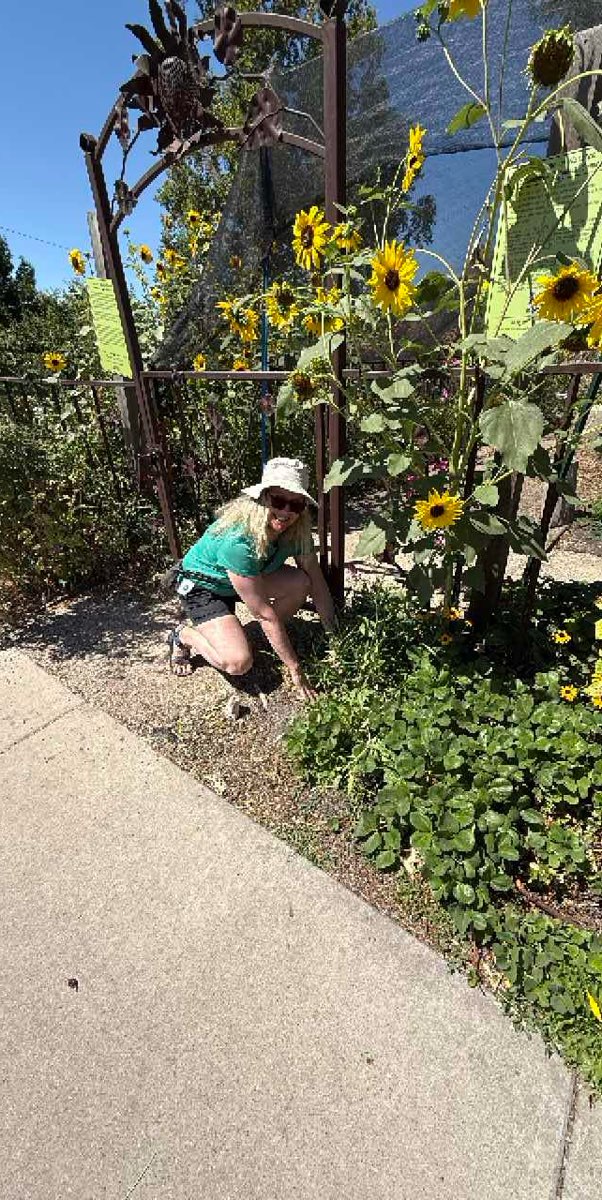 Salt Lake City Downtown Schnitzeljagd Fotos