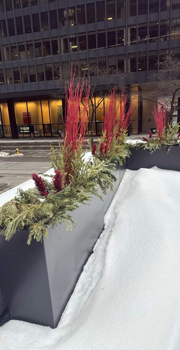 Toronto Islands Scavenger Hunt scavenger hunt photos