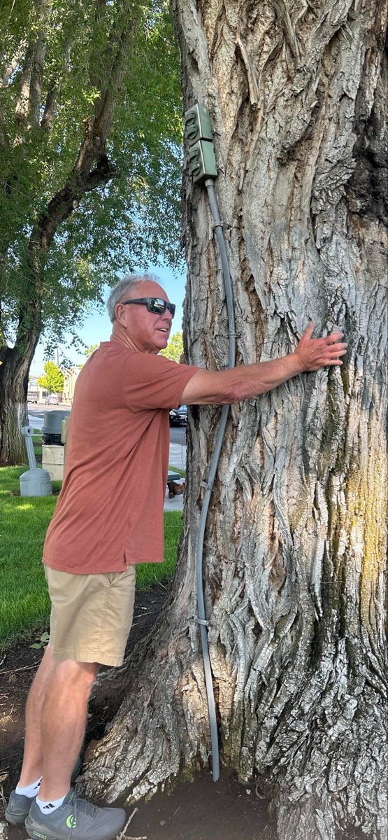 Prinevillen kaupunkiseikkailun valokuvat