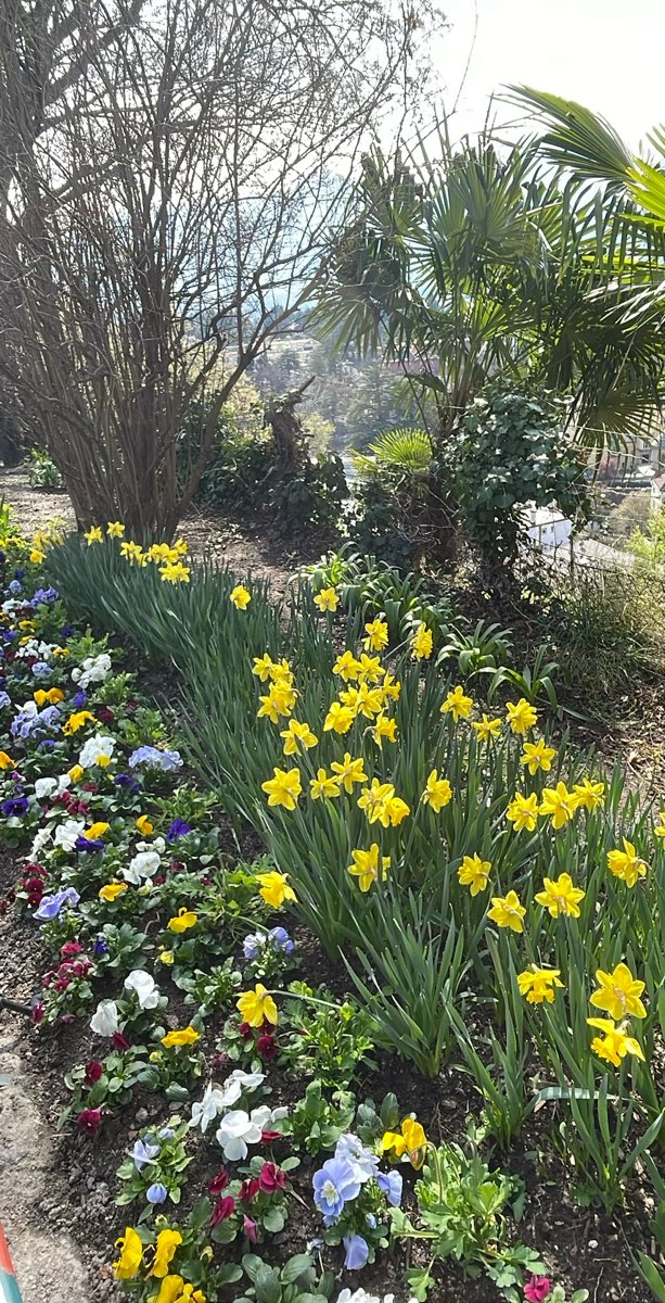 รูปภาพการล่าสมบัติเมราโน