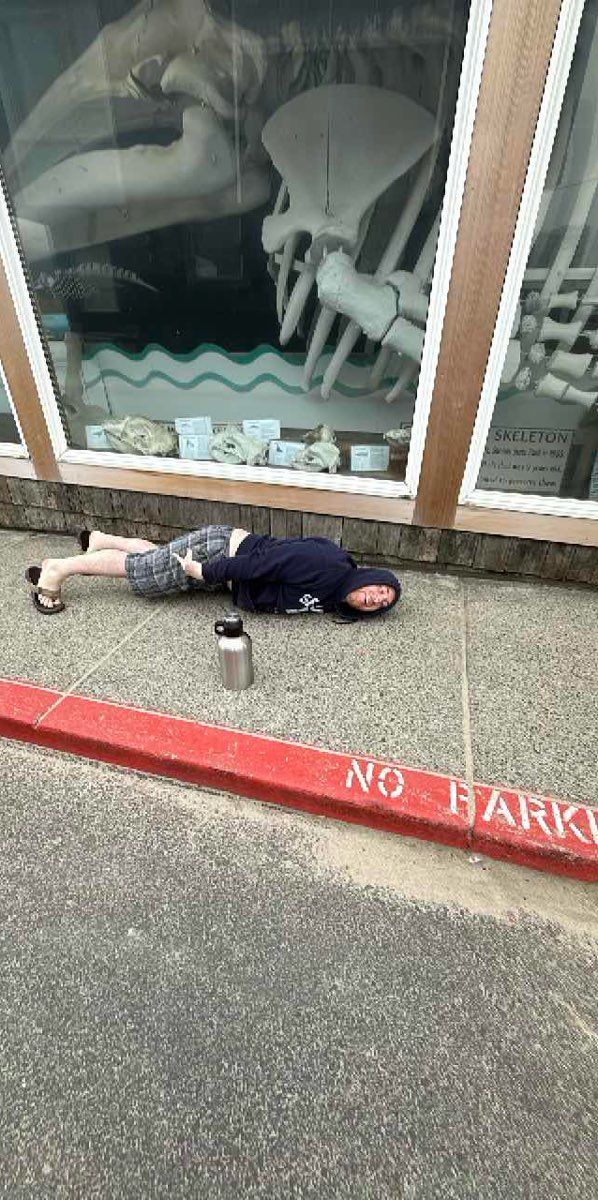 सीसाइड स्कैवेंजर हंट स्कैवेंजर हंट तस्वीरें