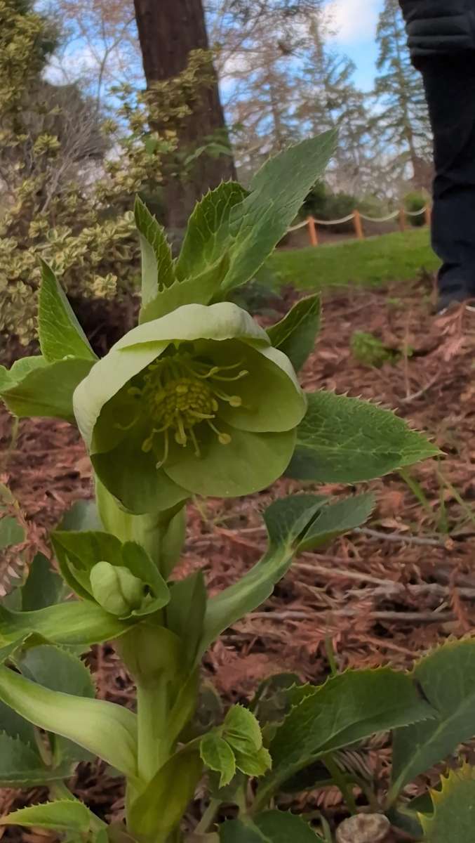 San Jose California Downtown Scavenger Hunt scavenger hunt photos