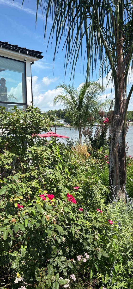 Zdjęcia z gry terenowej w Chesapeake City