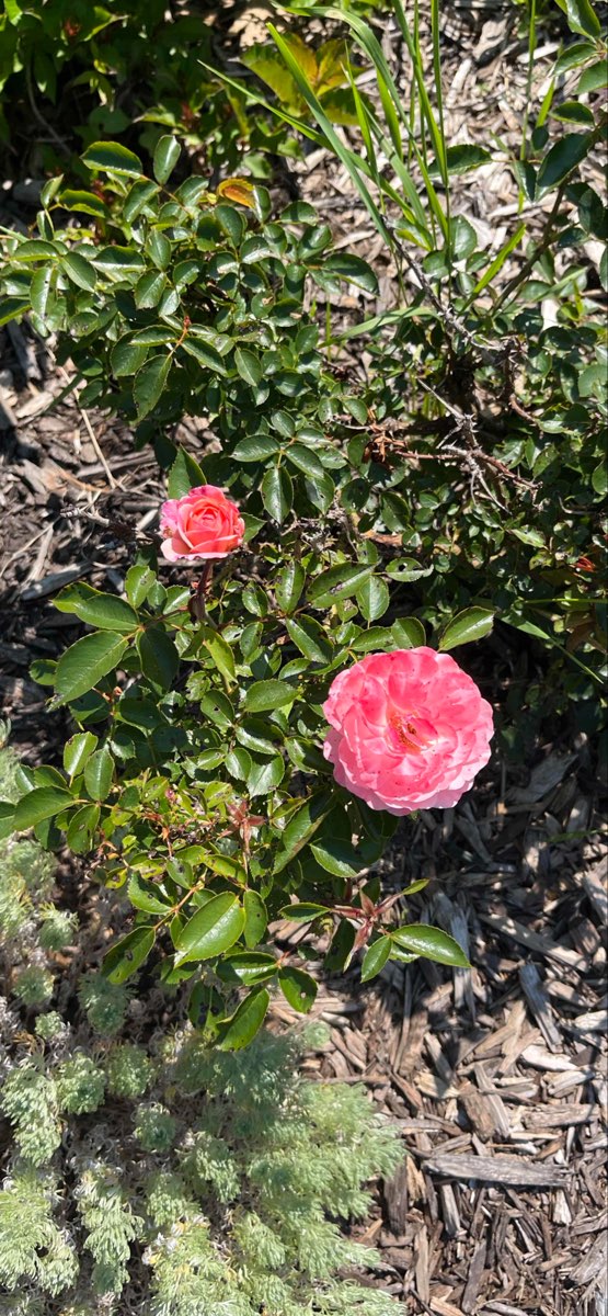 caccia al tesoro di team building