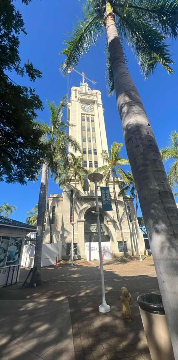 Honolulu Bar Crawl scavenger hunt photos