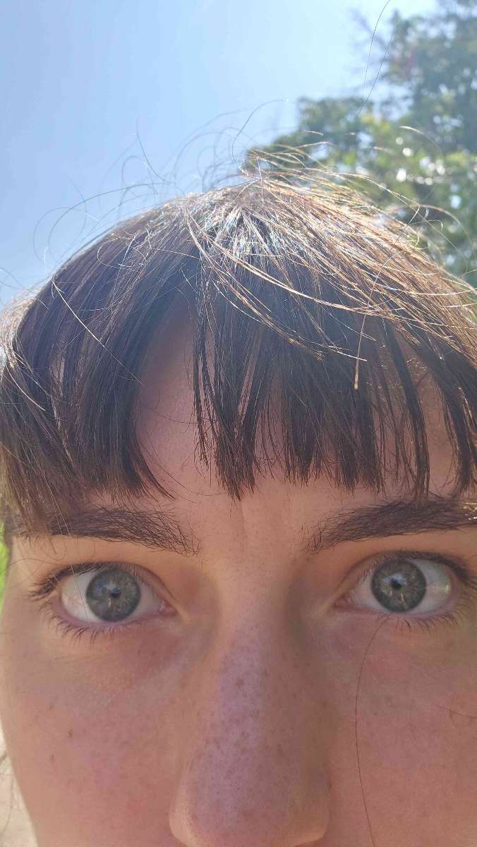 Fotografie z Hry s odměnami v Mount Pleasant Iowa