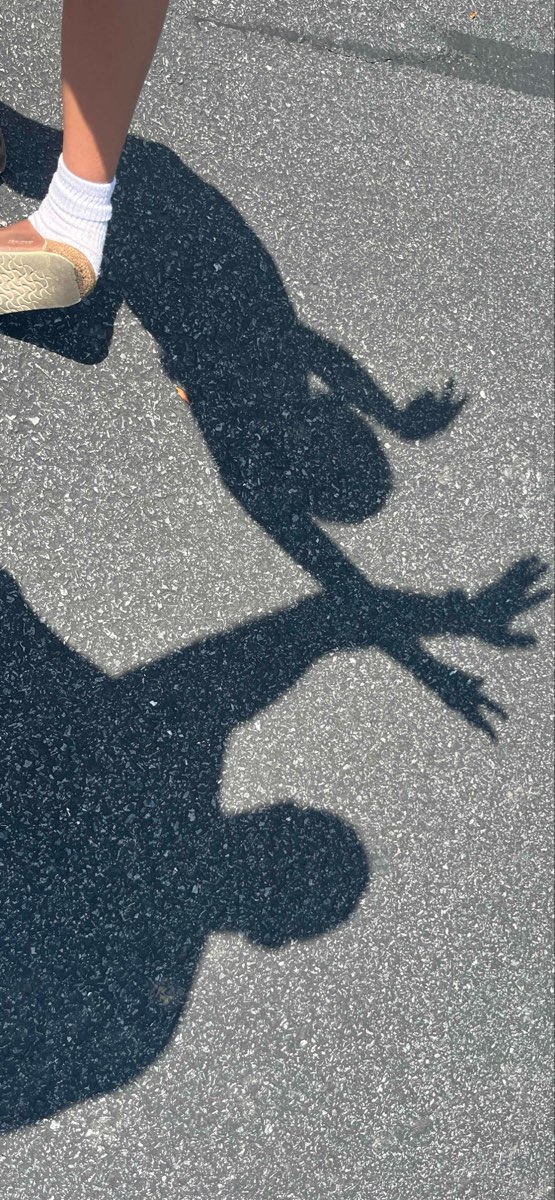 Fotografii V&acirc;n&abreve;toare de comori Ephrata