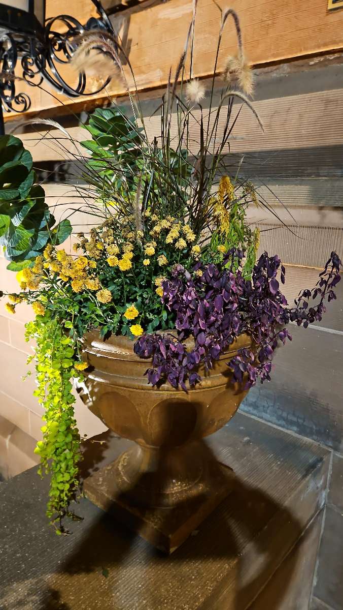 Grand Rapids Michigan Scavenger Hunt scavenger hunt photos