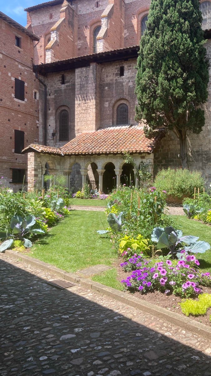 Albi Scavenger Hunt scavenger hunt photos