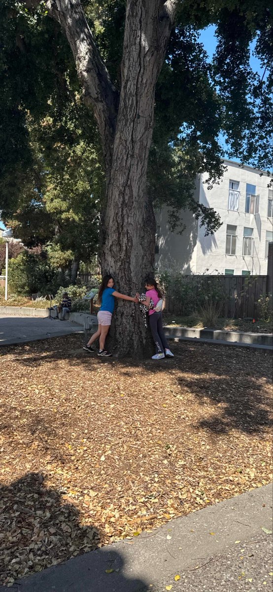 San Carlos California Scavenger Hunt scavenger hunt photos