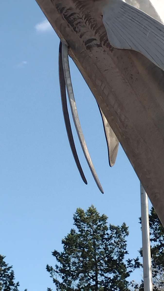 Ocean City Skattejakt skattejakt bilder