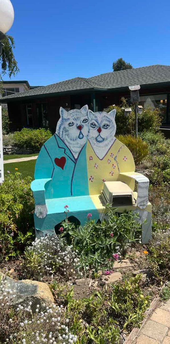 Cambria Scavenger Hunt scavenger hunt photos