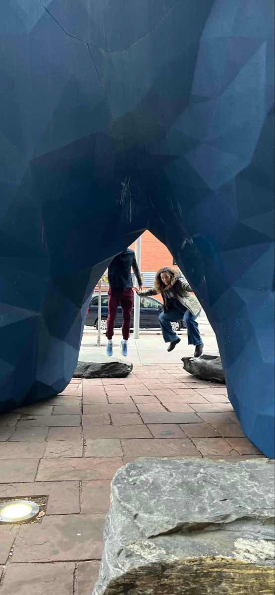 Fotografii v&acirc;n&abreve;toare de comori Denver