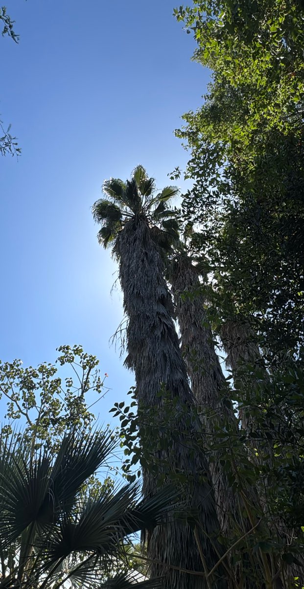 California State Polytechnic University - Pomona Scavenger Hunt scavenger hunt photos