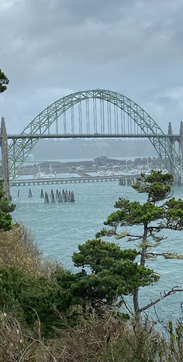 Newport Oregon Scavenger Hunt scavenger hunt photos
