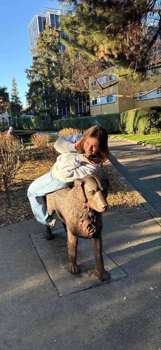 San Mateo Scavenger Hunt scavenger hunt photos