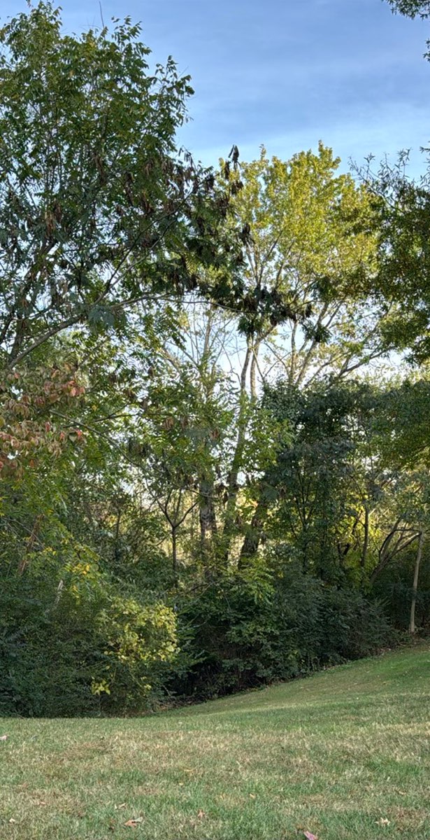 Farragut Scavenger Hunt scavenger hunt photos