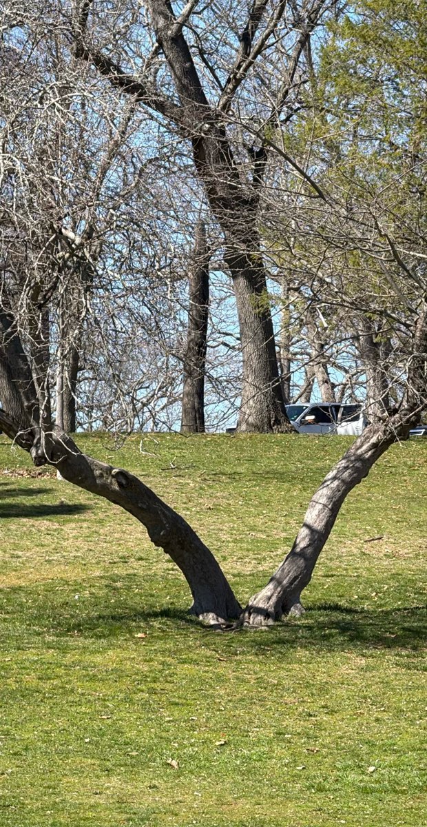 Bilder fra Providence Ghost Tour skattejakt